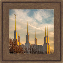 Load image into Gallery viewer, Washington DC Golden Hour
