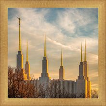 Load image into Gallery viewer, Washington DC Golden Hour
