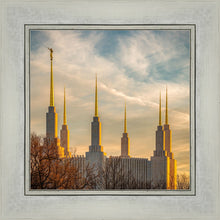 Load image into Gallery viewer, Washington DC Golden Hour
