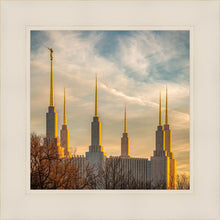 Load image into Gallery viewer, Washington DC Golden Hour
