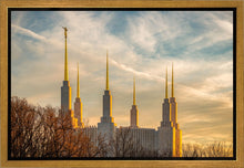 Load image into Gallery viewer, Washington DC Golden Hour
