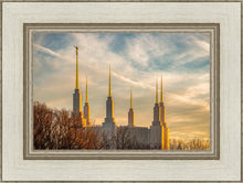 Load image into Gallery viewer, Washington DC Golden Hour
