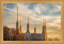 Load image into Gallery viewer, Washington DC Golden Hour
