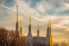 Load image into Gallery viewer, Washington DC Golden Hour
