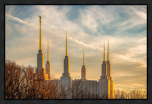 Load image into Gallery viewer, Washington DC Golden Hour
