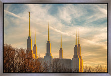 Load image into Gallery viewer, Washington DC Golden Hour
