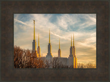 Load image into Gallery viewer, Washington DC Golden Hour

