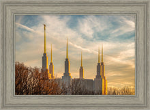 Load image into Gallery viewer, Washington DC Golden Hour
