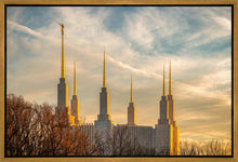 Load image into Gallery viewer, Washington DC Golden Hour
