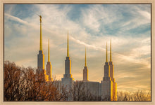 Load image into Gallery viewer, Washington DC Golden Hour

