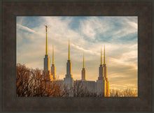 Load image into Gallery viewer, Washington DC Golden Hour
