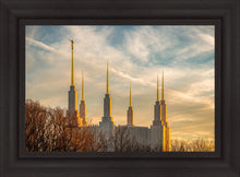 Load image into Gallery viewer, Washington DC Golden Hour
