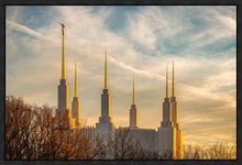 Load image into Gallery viewer, Washington DC Golden Hour
