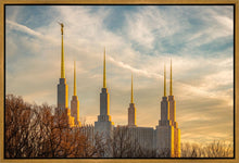 Load image into Gallery viewer, Washington DC Golden Hour
