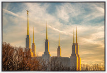 Load image into Gallery viewer, Washington DC Golden Hour
