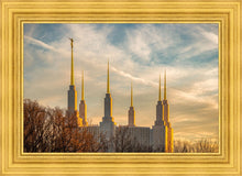 Load image into Gallery viewer, Washington DC Golden Hour
