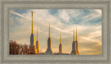 Load image into Gallery viewer, Washington DC Golden Hour
