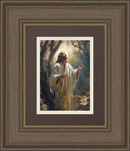 Load image into Gallery viewer, Jesus Prays in the Garden of Gethsemane
