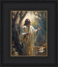 Load image into Gallery viewer, Jesus Prays in the Garden of Gethsemane
