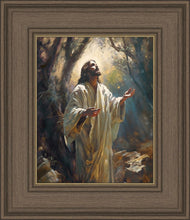Load image into Gallery viewer, Jesus Prays in the Garden of Gethsemane
