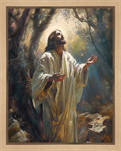 Load image into Gallery viewer, Jesus Prays in the Garden of Gethsemane
