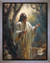 Load image into Gallery viewer, Jesus Prays in the Garden of Gethsemane
