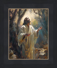 Load image into Gallery viewer, Jesus Prays in the Garden of Gethsemane
