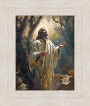 Load image into Gallery viewer, Jesus Prays in the Garden of Gethsemane
