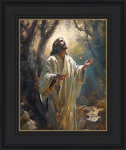 Load image into Gallery viewer, Jesus Prays in the Garden of Gethsemane
