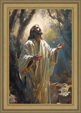 Load image into Gallery viewer, Jesus Prays in the Garden of Gethsemane
