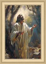 Load image into Gallery viewer, Jesus Prays in the Garden of Gethsemane

