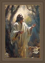 Load image into Gallery viewer, Jesus Prays in the Garden of Gethsemane
