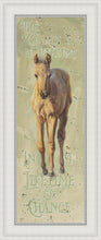 Load image into Gallery viewer, The Chance of a Lifetime
