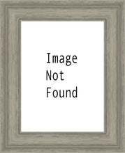 Load image into Gallery viewer, The Way
