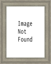 Load image into Gallery viewer, The Way
