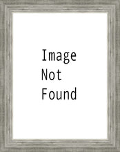 Load image into Gallery viewer, The Way
