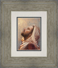 Load image into Gallery viewer, The Plea
