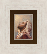 Load image into Gallery viewer, The Plea
