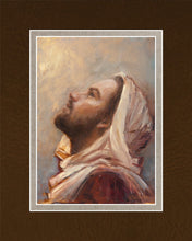 Load image into Gallery viewer, The Plea
