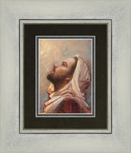 Load image into Gallery viewer, The Plea
