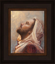 Load image into Gallery viewer, The Plea
