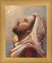 Load image into Gallery viewer, The Plea
