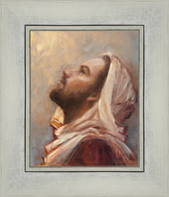 Load image into Gallery viewer, The Plea
