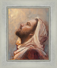 Load image into Gallery viewer, The Plea
