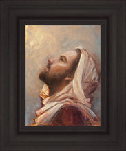 Load image into Gallery viewer, The Plea
