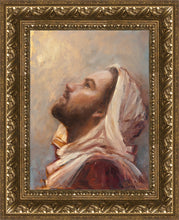 Load image into Gallery viewer, The Plea
