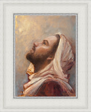 Load image into Gallery viewer, The Plea
