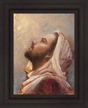 Load image into Gallery viewer, The Plea
