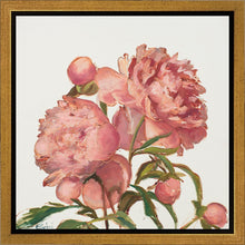 Load image into Gallery viewer, Peony Memories
