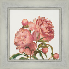 Load image into Gallery viewer, Peony Memories
